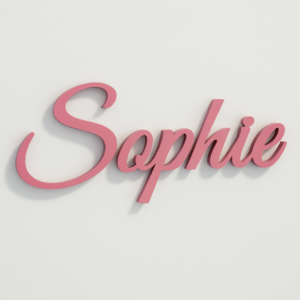 Maatwerk & 3D Ontwerp