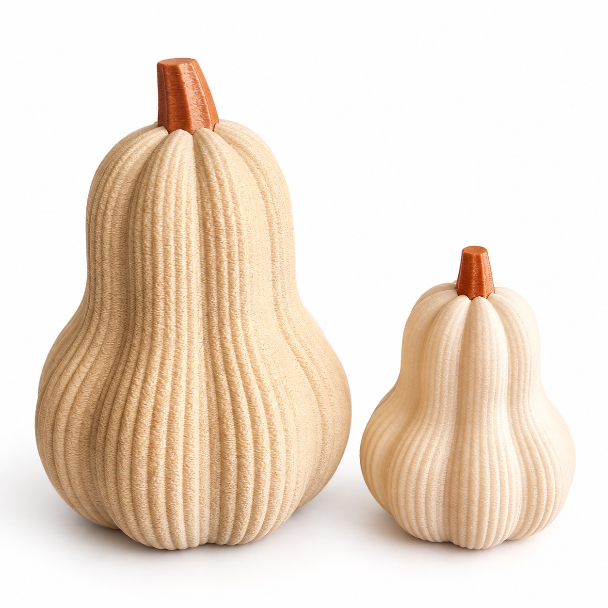 Decoratieve sierkalebassen beige set van 2
